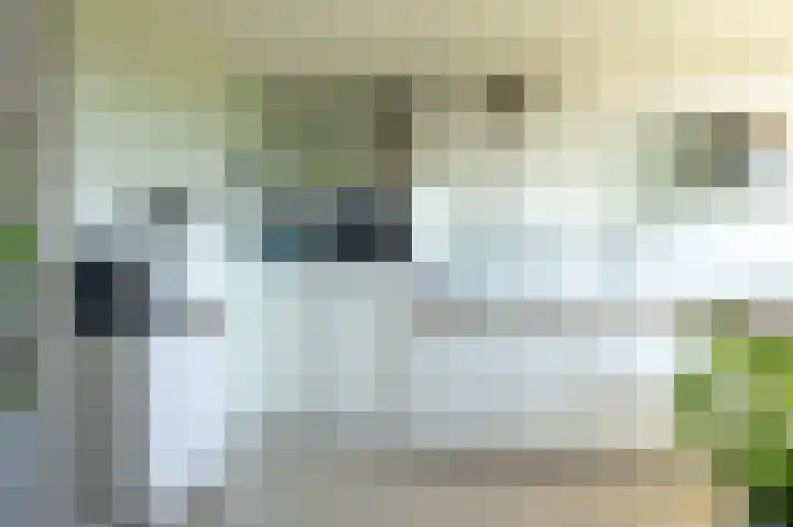 Alm 64 Zwolle thumbnail 14