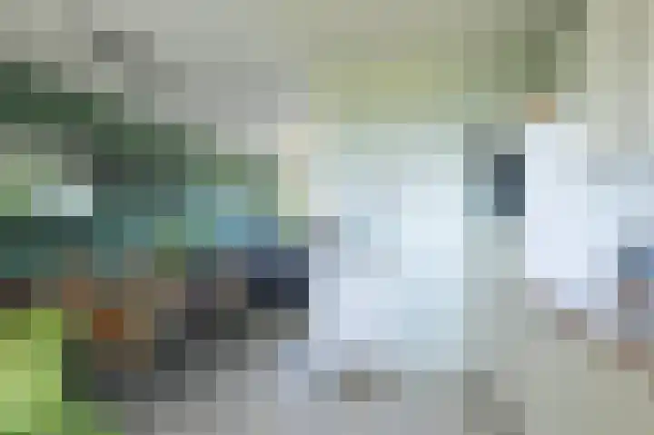 Alm 64 Zwolle thumbnail 16