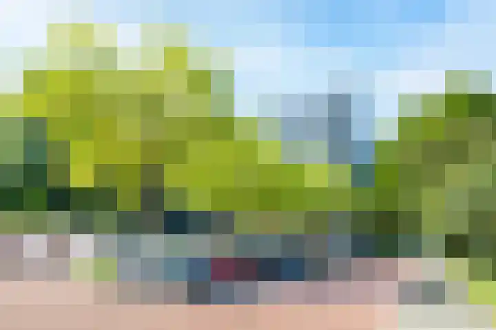 Alm 64 Zwolle thumbnail 31