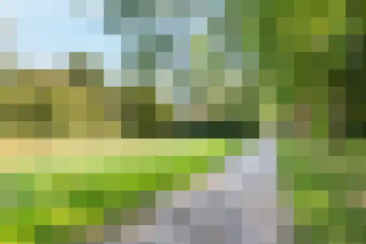 Alm 64 Zwolle thumbnail 33