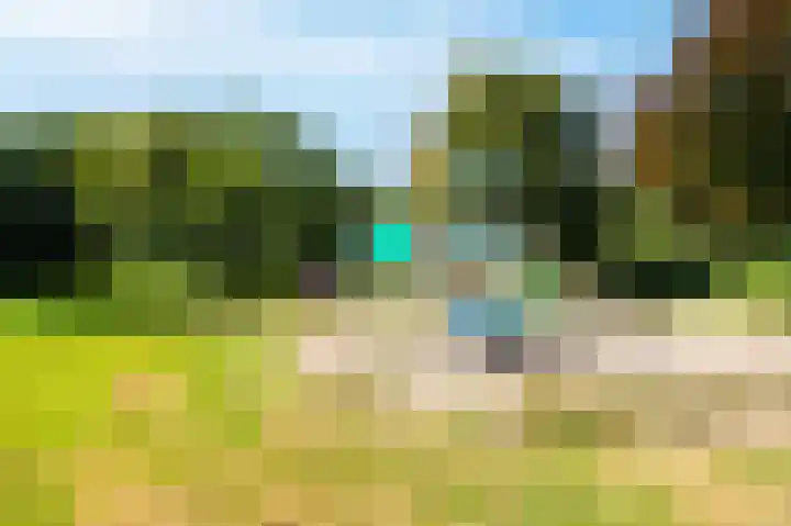 Alm 64 Zwolle thumbnail 34