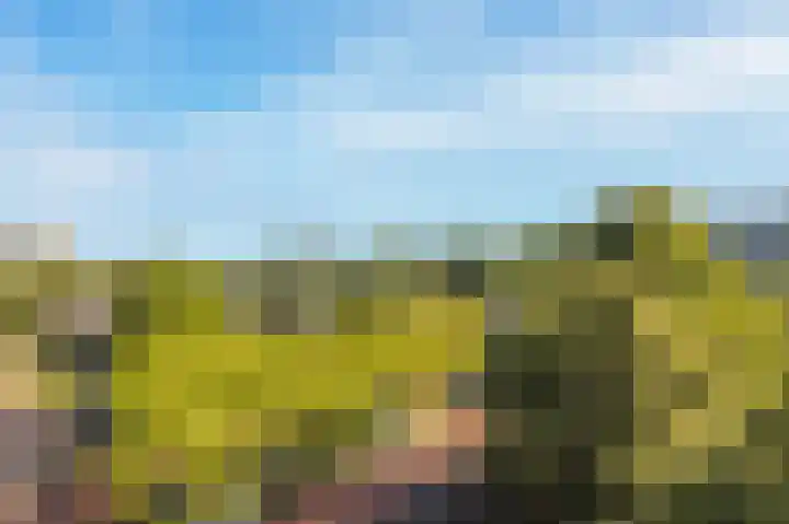 Alm 64 Zwolle thumbnail 35