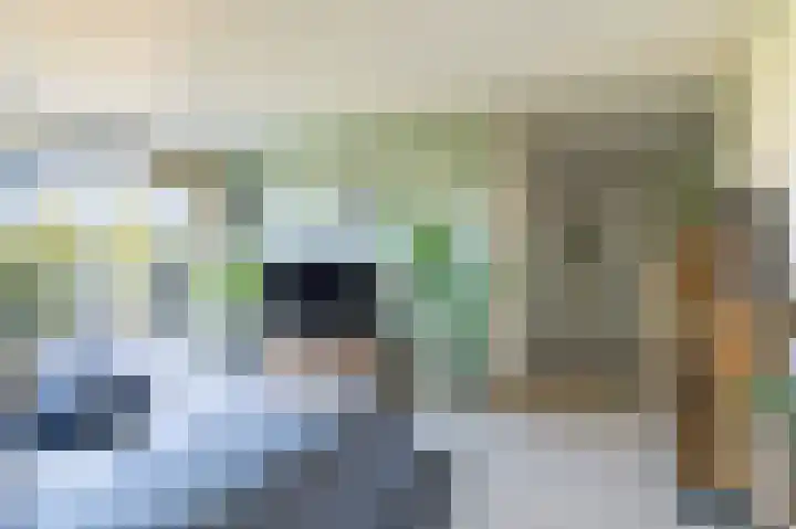 Alm 64 Zwolle thumbnail 4