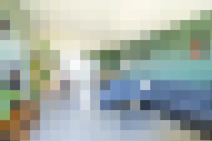 Alm 64 Zwolle thumbnail 5