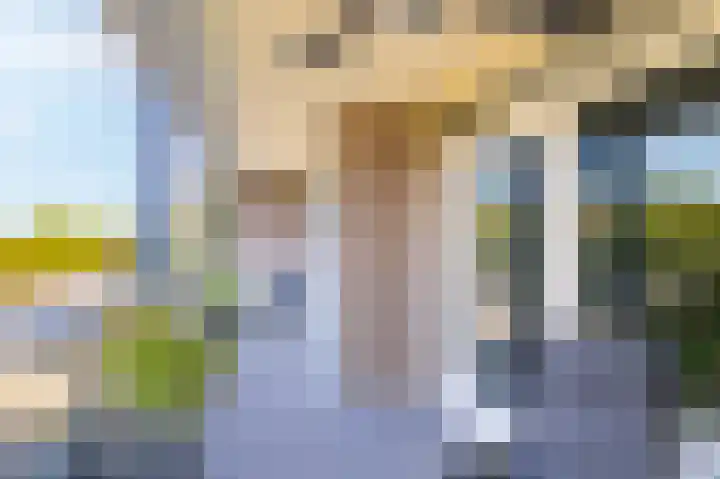 Alm 64 Zwolle thumbnail 7