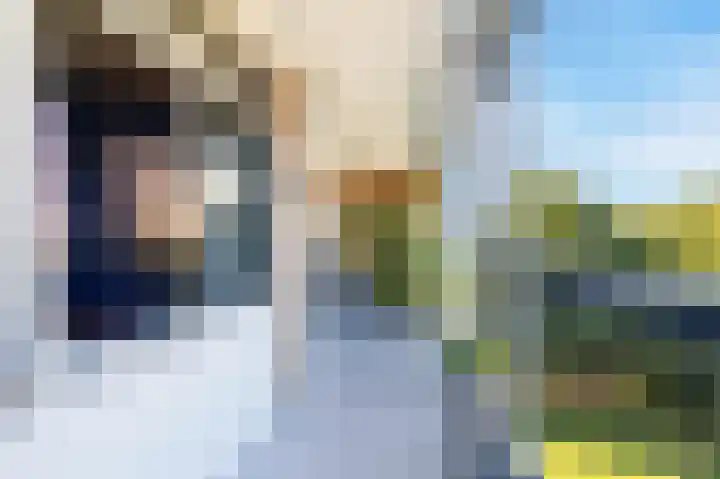Alm 64 Zwolle thumbnail 8