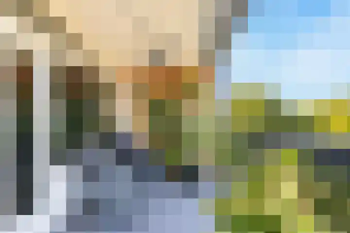 Alm 64 Zwolle thumbnail 9