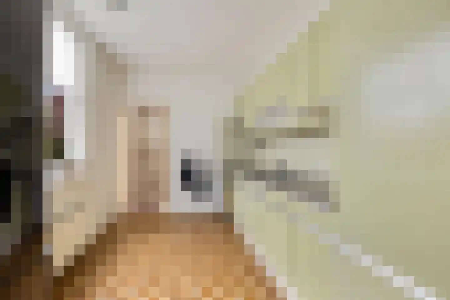 Alma Tademaweg 20 Heerenveen thumbnail 15