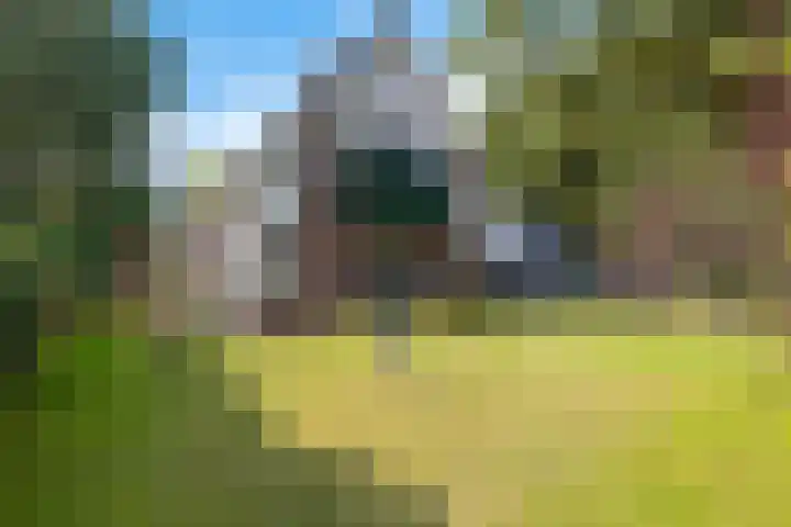 Almaatsweg 1 in Benneveld