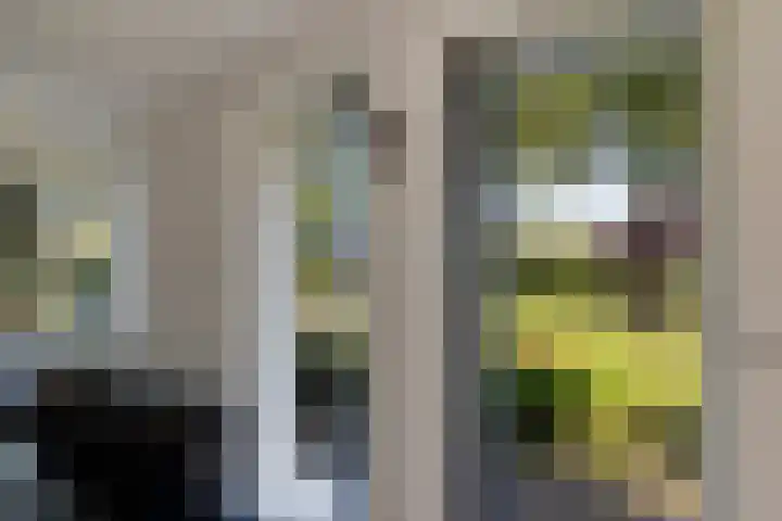 Almaatsweg 1 Benneveld thumbnail 13