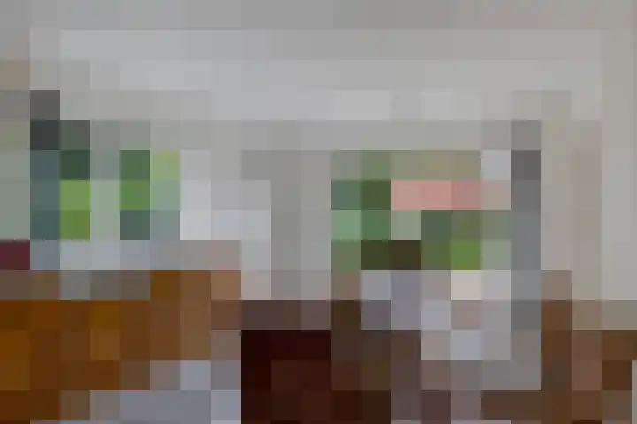 Almaatsweg 1 Benneveld thumbnail 19