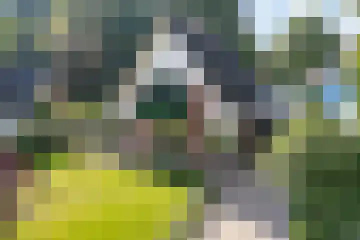 Almaatsweg 1 Benneveld foto 2