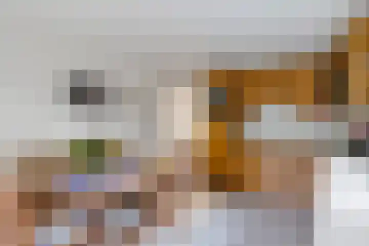 Almaatsweg 1 Benneveld thumbnail 21