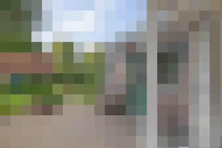 Almaatsweg 1 Benneveld thumbnail 24