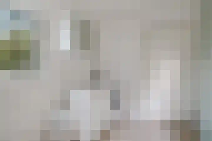 Almaatsweg 1 Benneveld thumbnail 26