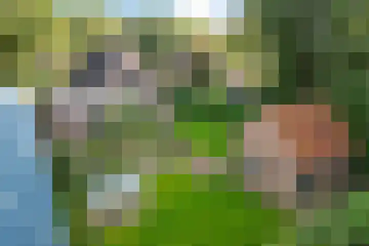 Almaatsweg 1 Benneveld foto 3