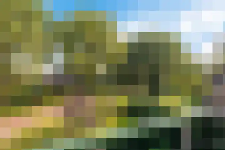 Almaatsweg 1 Benneveld thumbnail 35