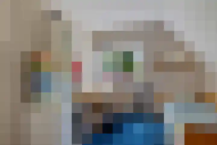 Almaatsweg 1 Benneveld thumbnail 43
