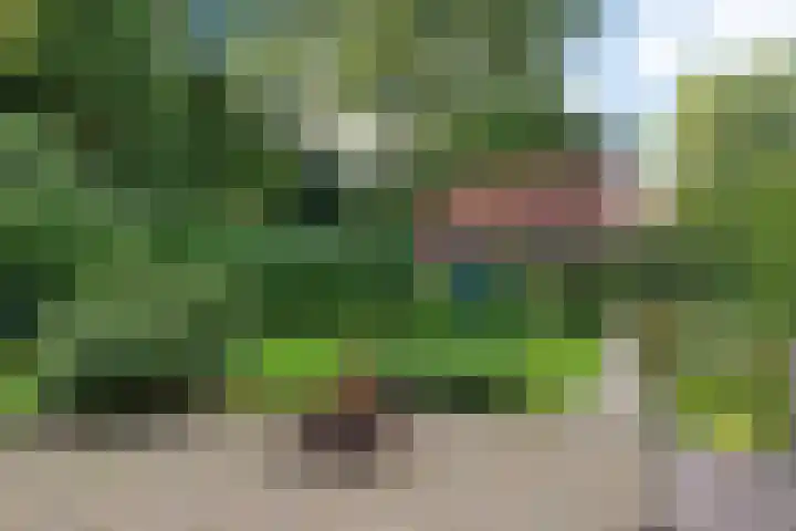 Almaatsweg 1 Benneveld thumbnail 44