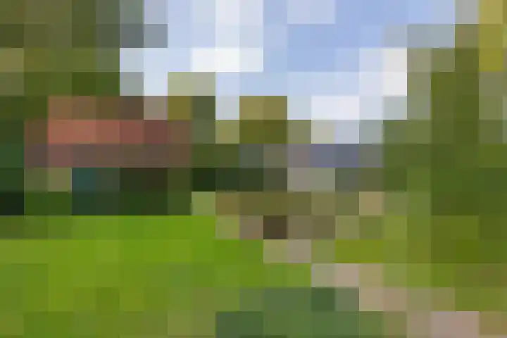 Almaatsweg 1 Benneveld thumbnail 45