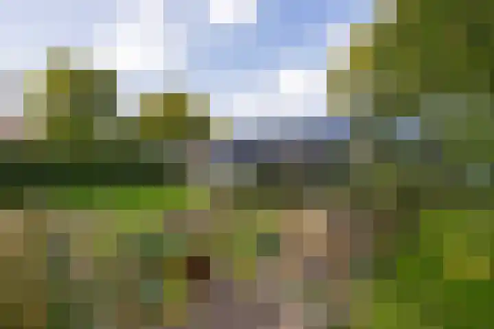 Almaatsweg 1 Benneveld thumbnail 46