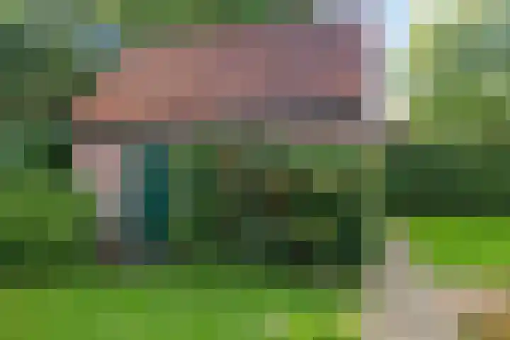 Almaatsweg 1 Benneveld thumbnail 47