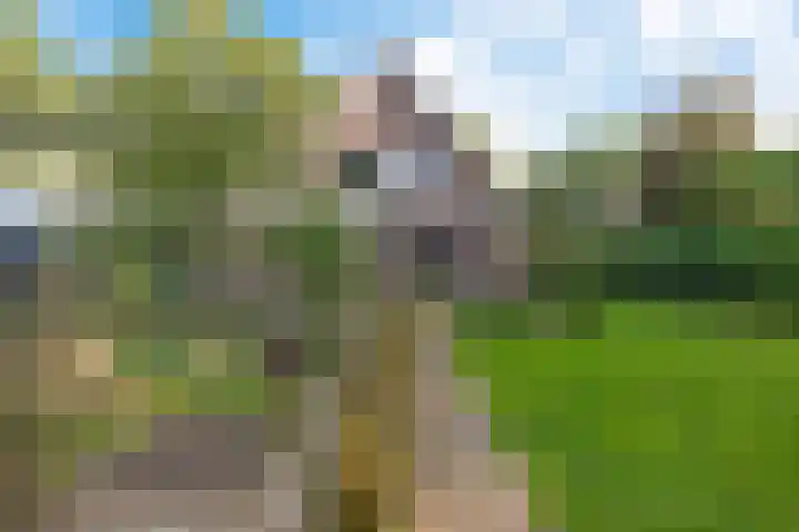 Almaatsweg 1 Benneveld thumbnail 49