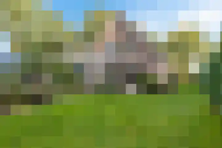 Almaatsweg 1 Benneveld thumbnail 50