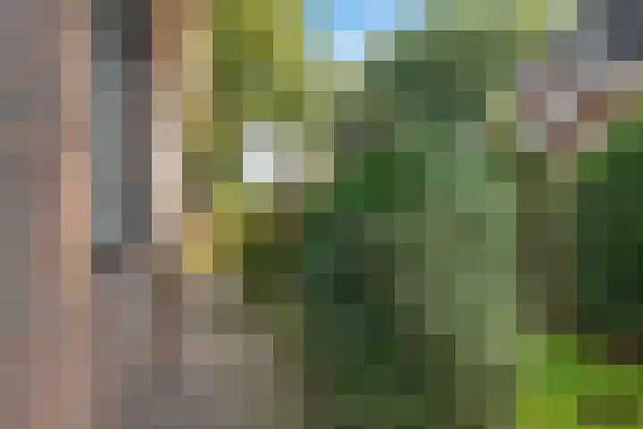 Almaatsweg 1 Benneveld thumbnail 51