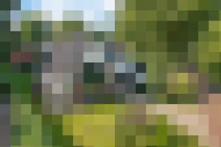 Almaatsweg 1 Benneveld thumbnail 52