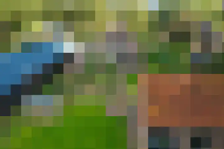 Almaatsweg 1 Benneveld thumbnail 53