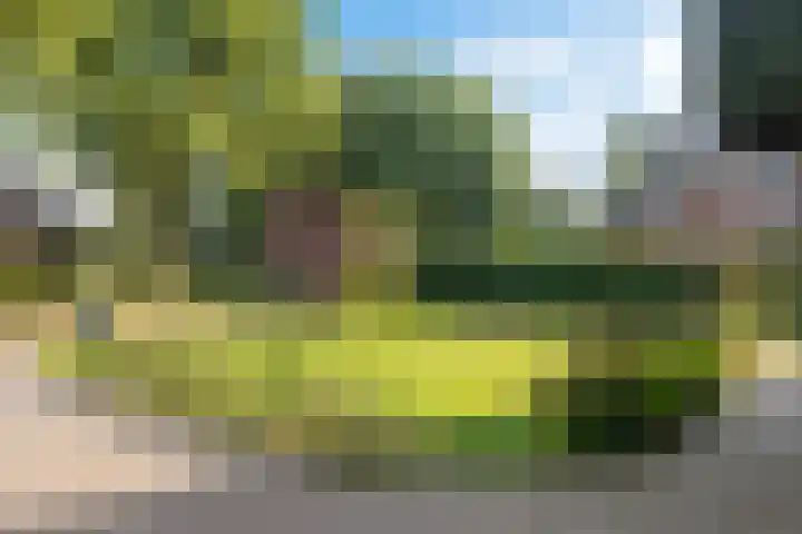 Almaatsweg 1 Benneveld thumbnail 7