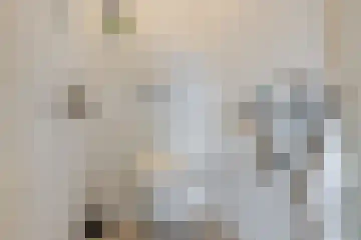 Almaatsweg 1 Benneveld thumbnail 9