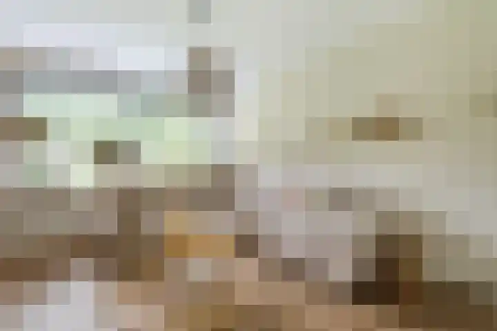 Almareplantsoen 10 Bunschoten-Spakenburg foto 2