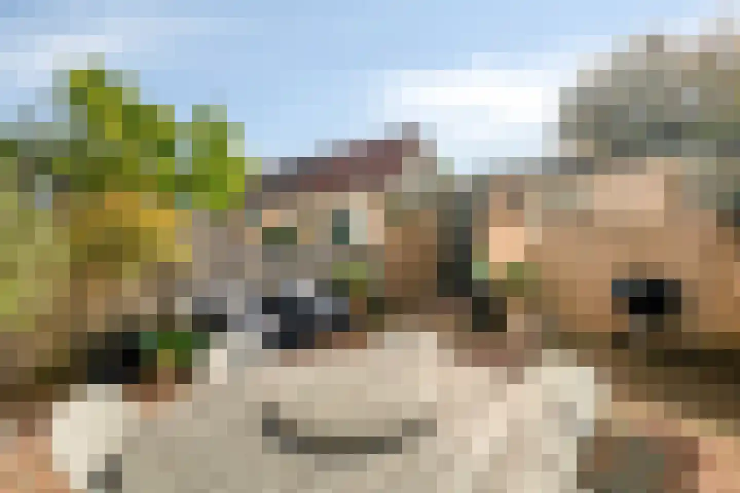 Almarestraat 10 Bunschoten-Spakenburg thumbnail 24