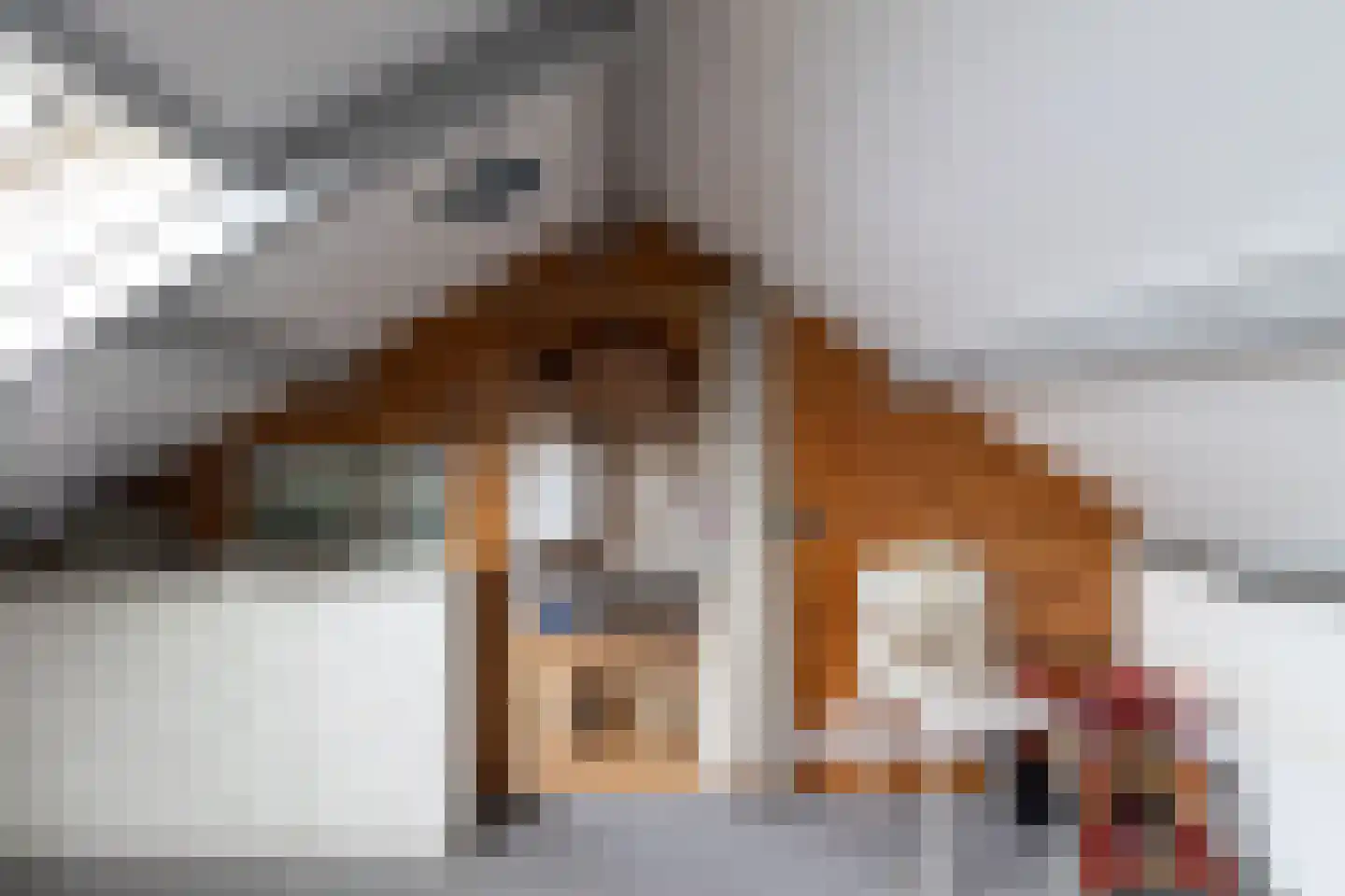 Almarestraat 13 Bunschoten-Spakenburg thumbnail 25