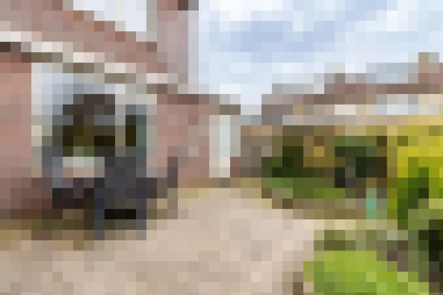 Almarestraat 13 Bunschoten-Spakenburg thumbnail 30