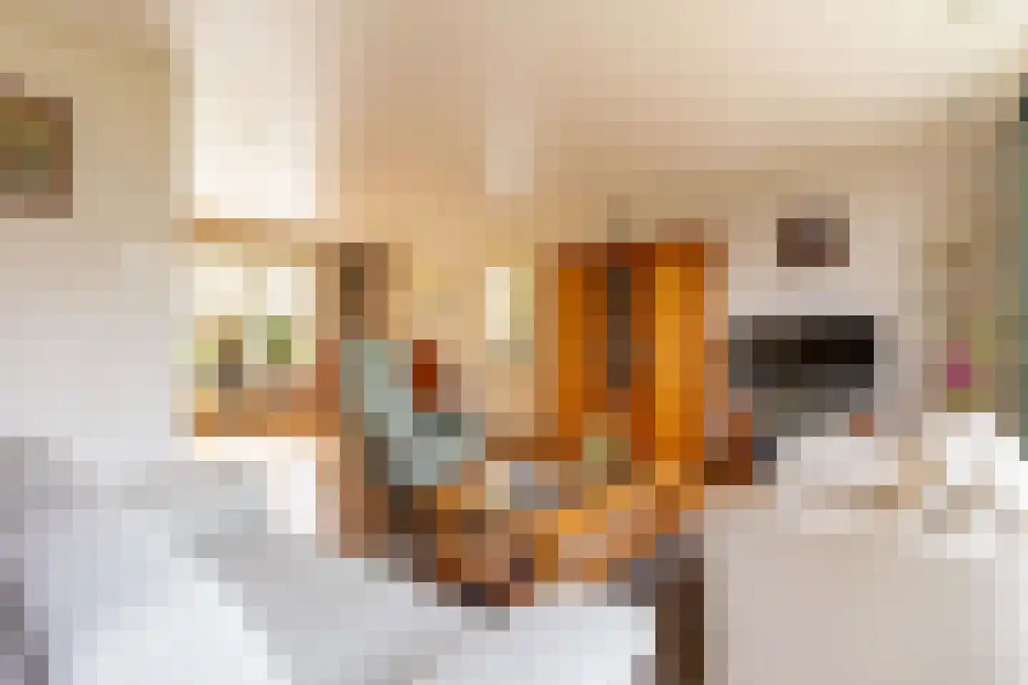 Almarestraat 13 Bunschoten-Spakenburg thumbnail 6
