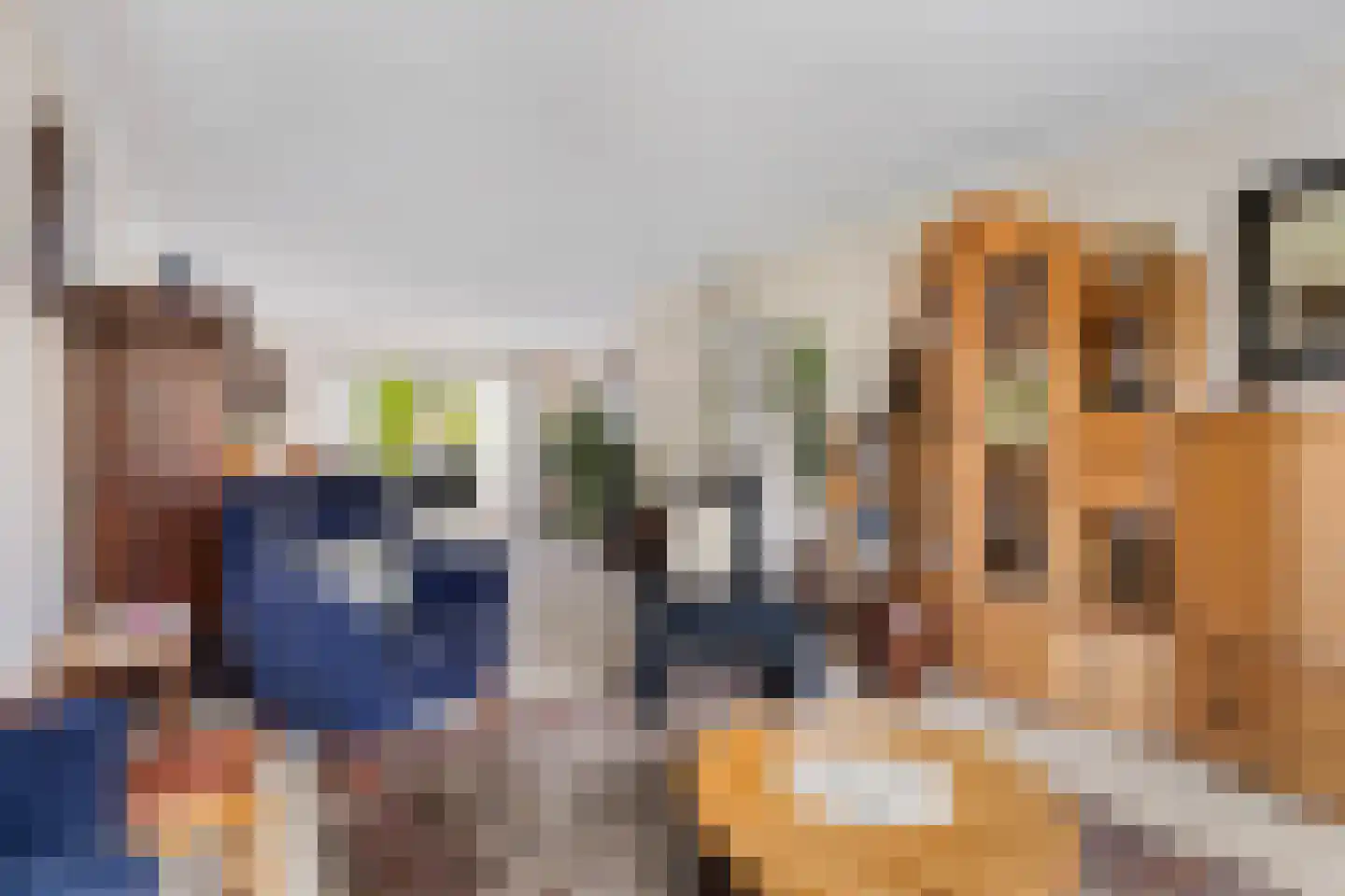 Almasingel 1 Minnertsga thumbnail 10