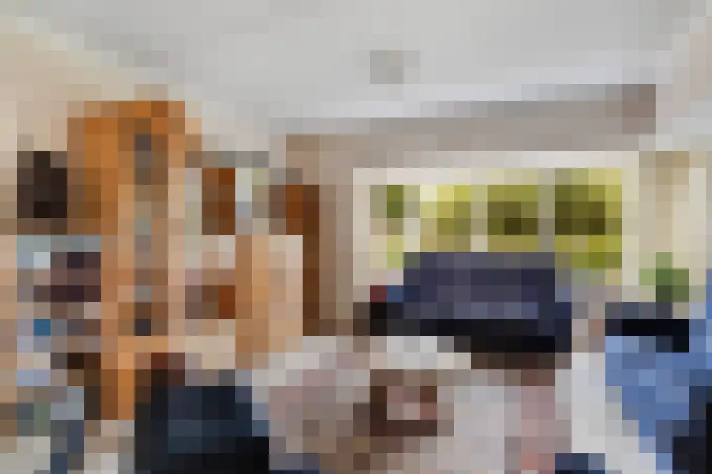 Almasingel 1 Minnertsga thumbnail 12
