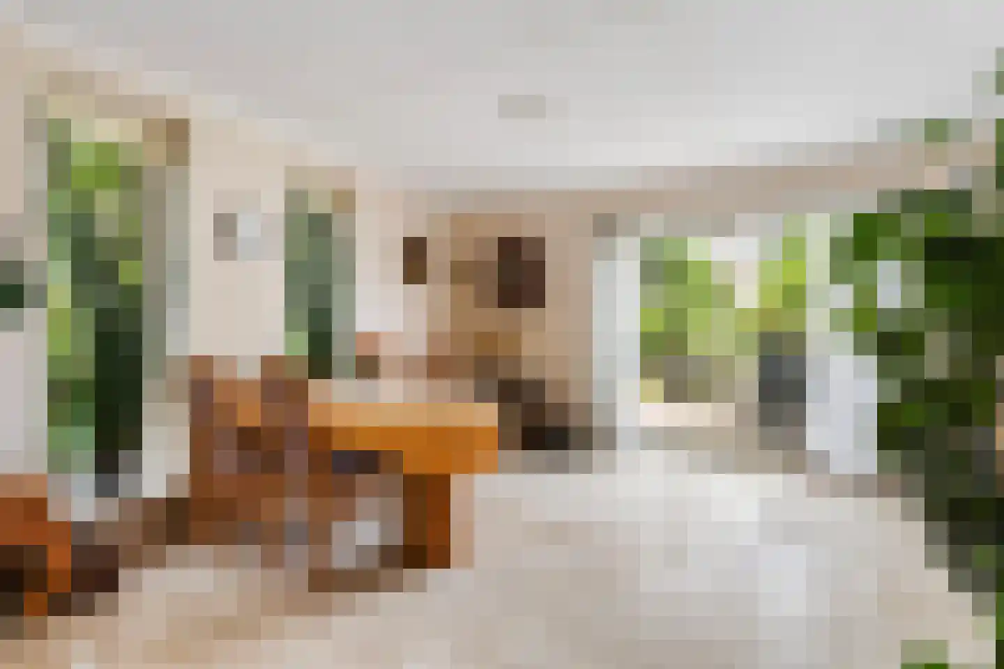 Almasingel 1 Minnertsga thumbnail 13