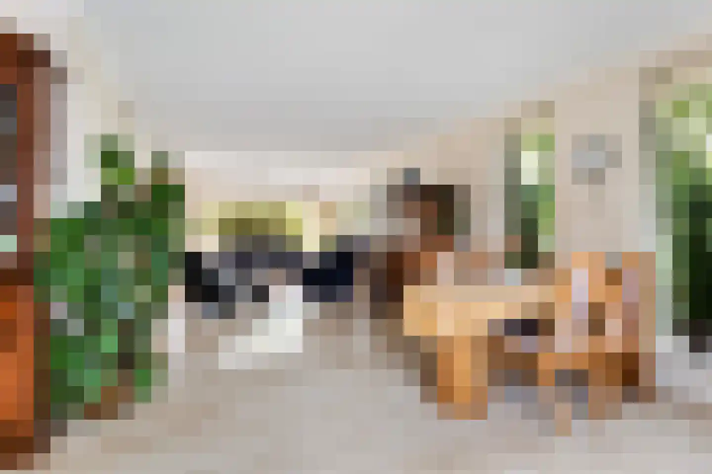 Almasingel 1 Minnertsga thumbnail 15