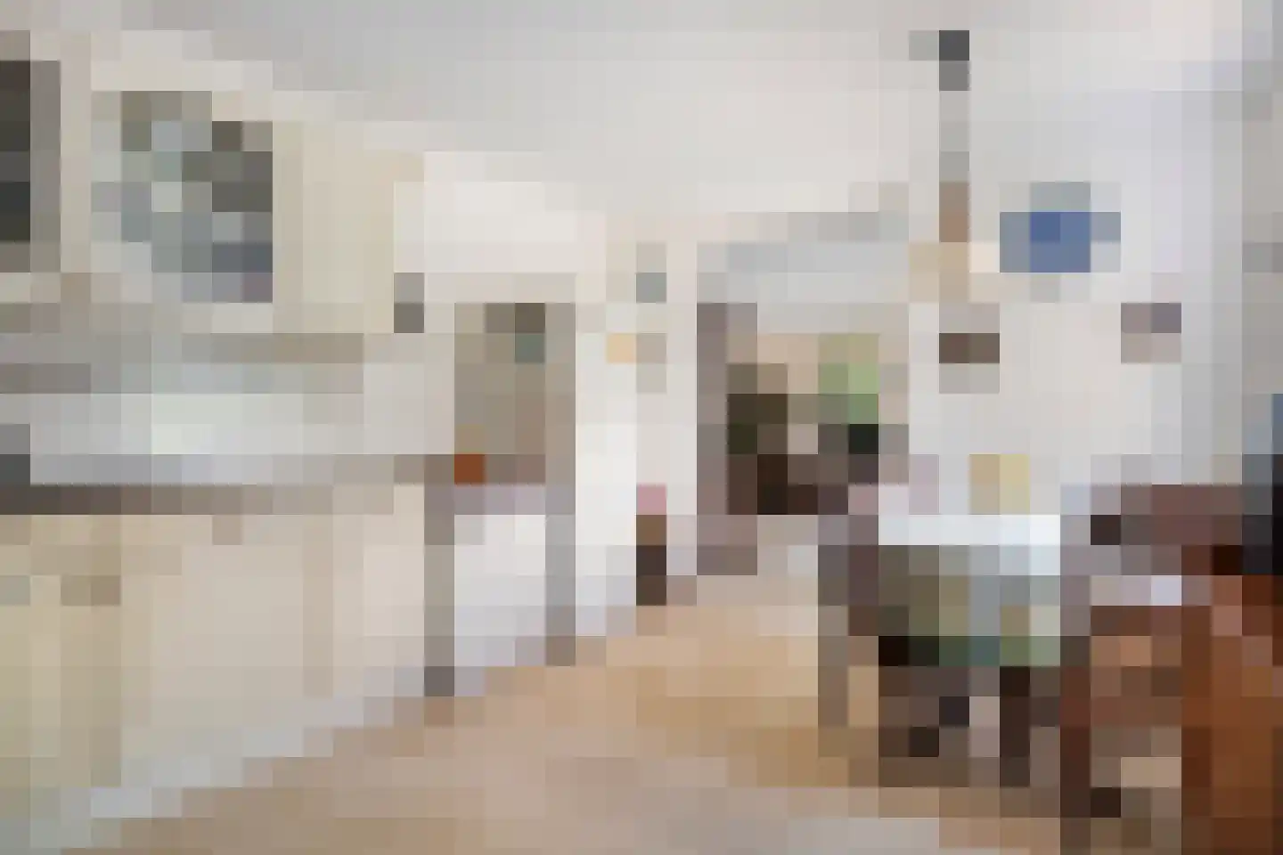 Almasingel 1 Minnertsga thumbnail 16