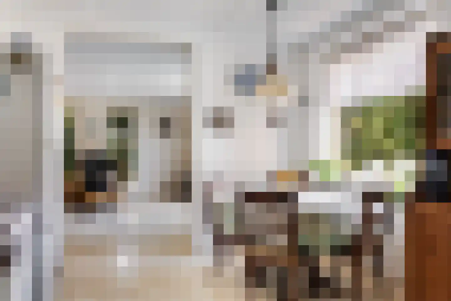 Almasingel 1 Minnertsga thumbnail 17