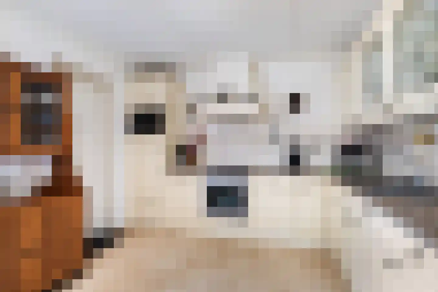 Almasingel 1 Minnertsga thumbnail 19