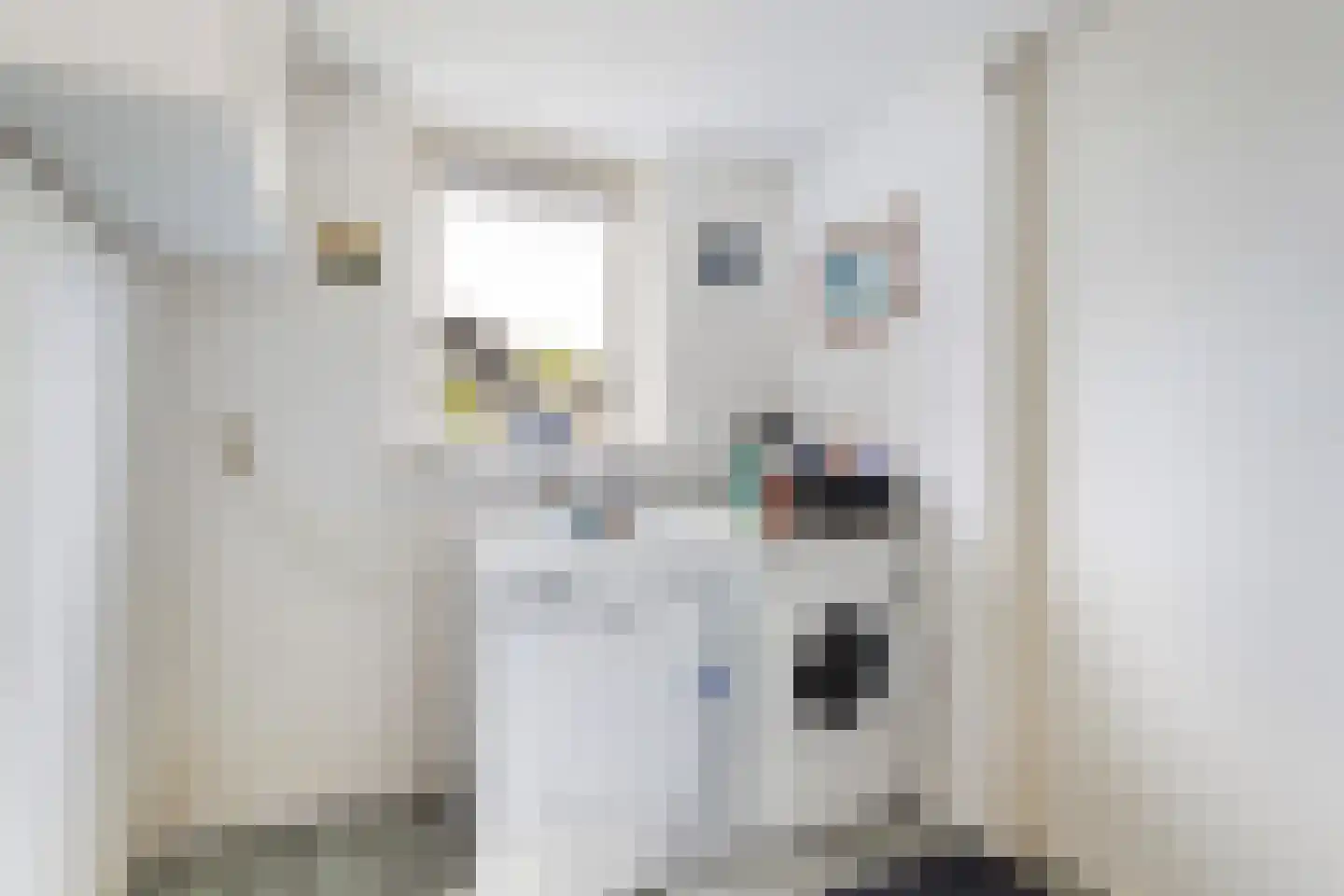 Almasingel 1 Minnertsga thumbnail 21