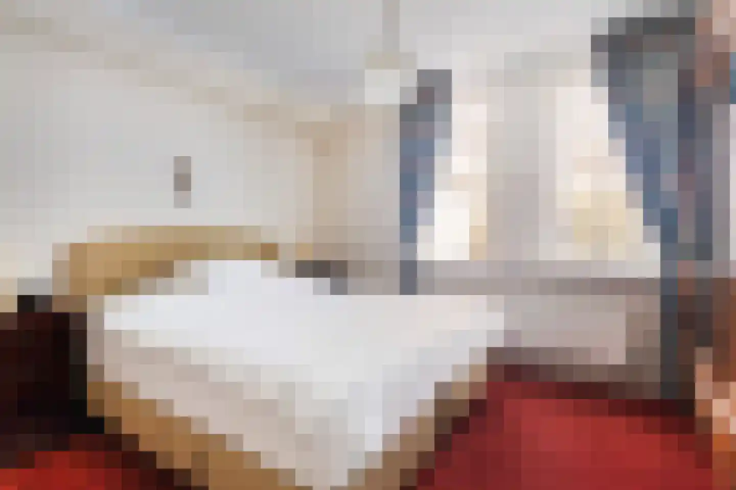 Almasingel 1 Minnertsga thumbnail 22