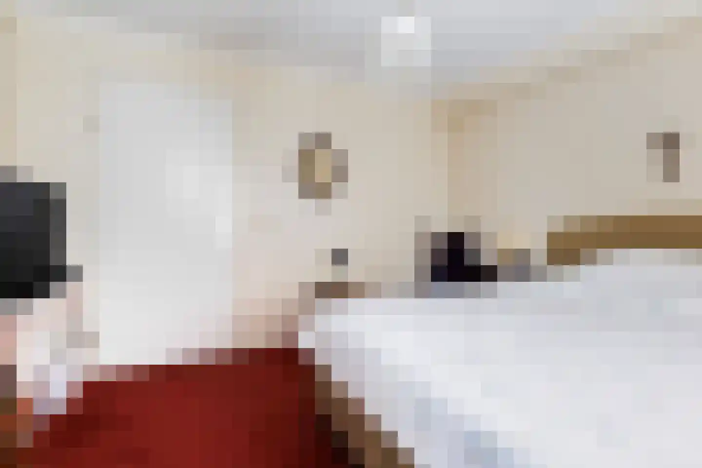 Almasingel 1 Minnertsga thumbnail 23