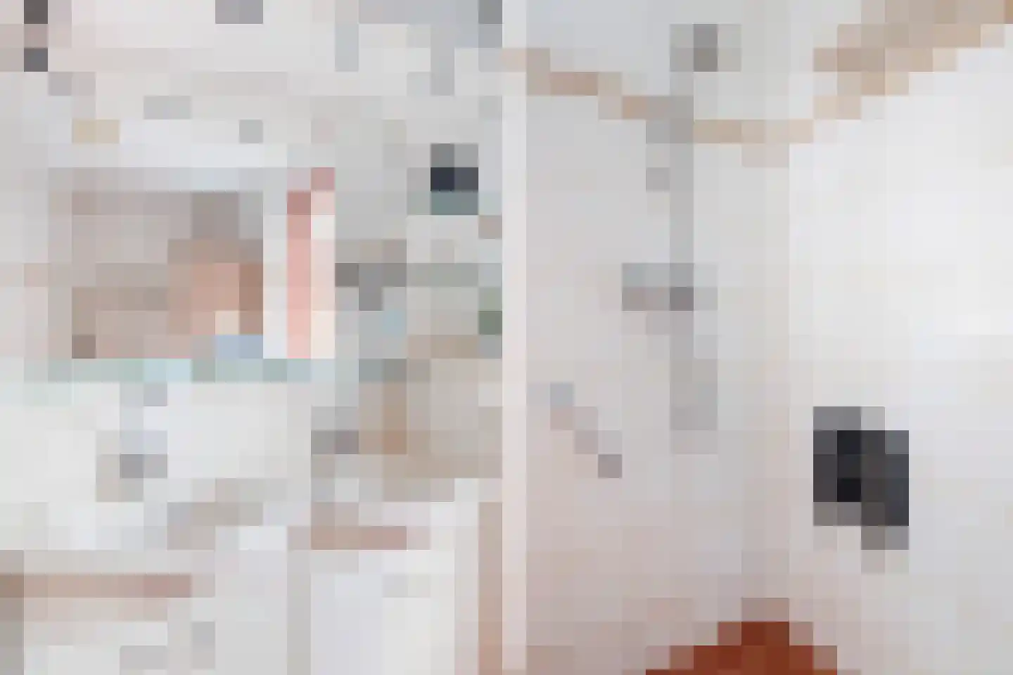 Almasingel 1 Minnertsga thumbnail 27