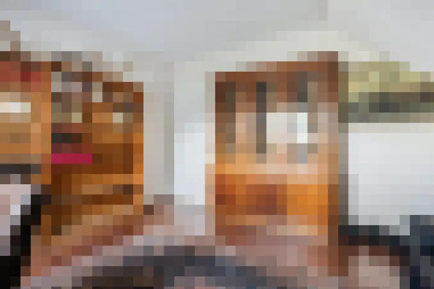 Almasingel 1 Minnertsga thumbnail 31